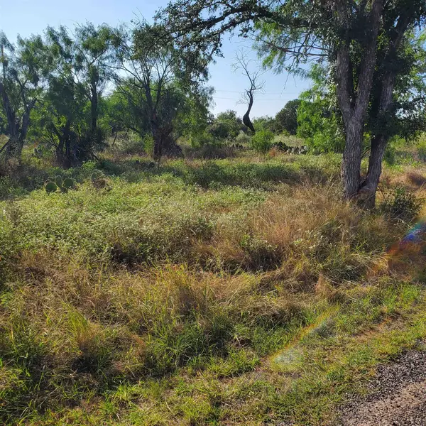 Lots 376 & 377 Woodcrest Drive, Granite Shoals, TX 78654