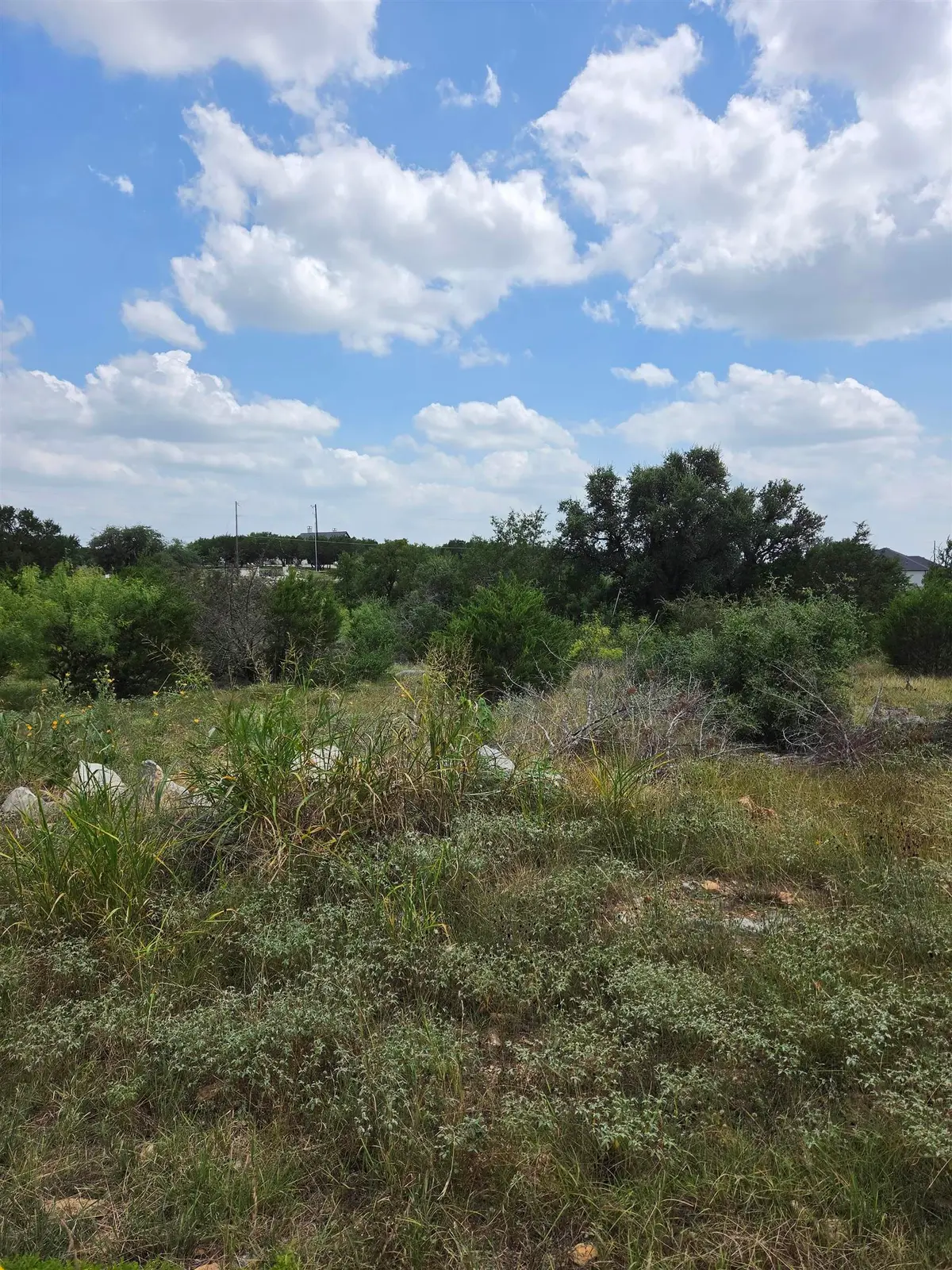 Lot #22 Mustang Ridge Estates, Trophy Oak Trail, Marble Falls, TX 78654-3995 - #1
