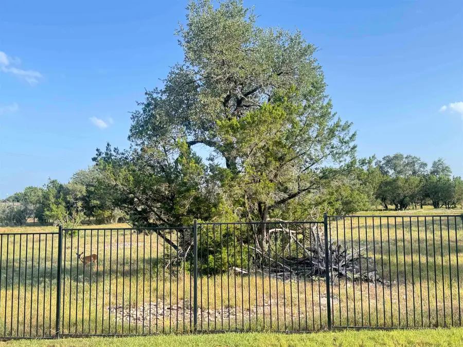 2205 Mountain Dew Road, Horseshoe Bay, TX 78657 - #3