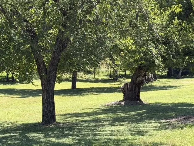 LUCKENBACK & MO Moore St., Llano, TX 78643 - #2