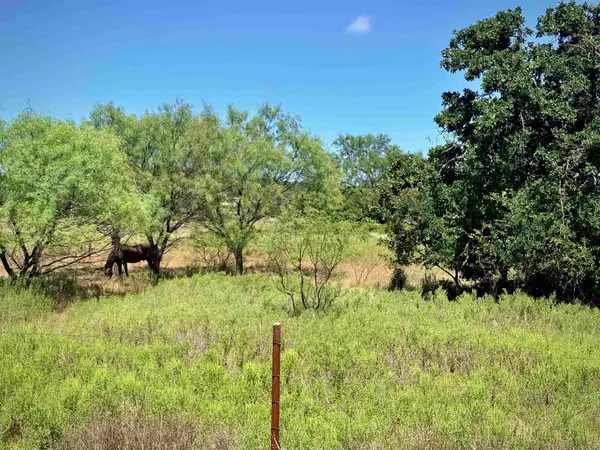 Buffalo Spring Circle, Valley Spring, TX 76885