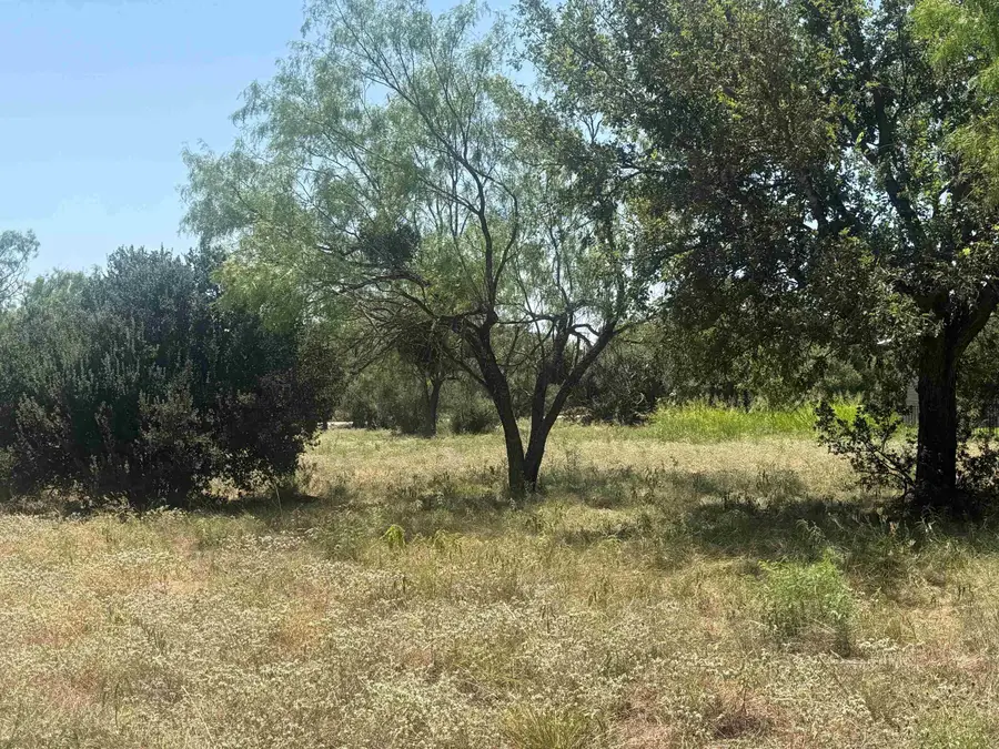 103 Small Circle, Horseshoe Bay, TX 78657 - #2