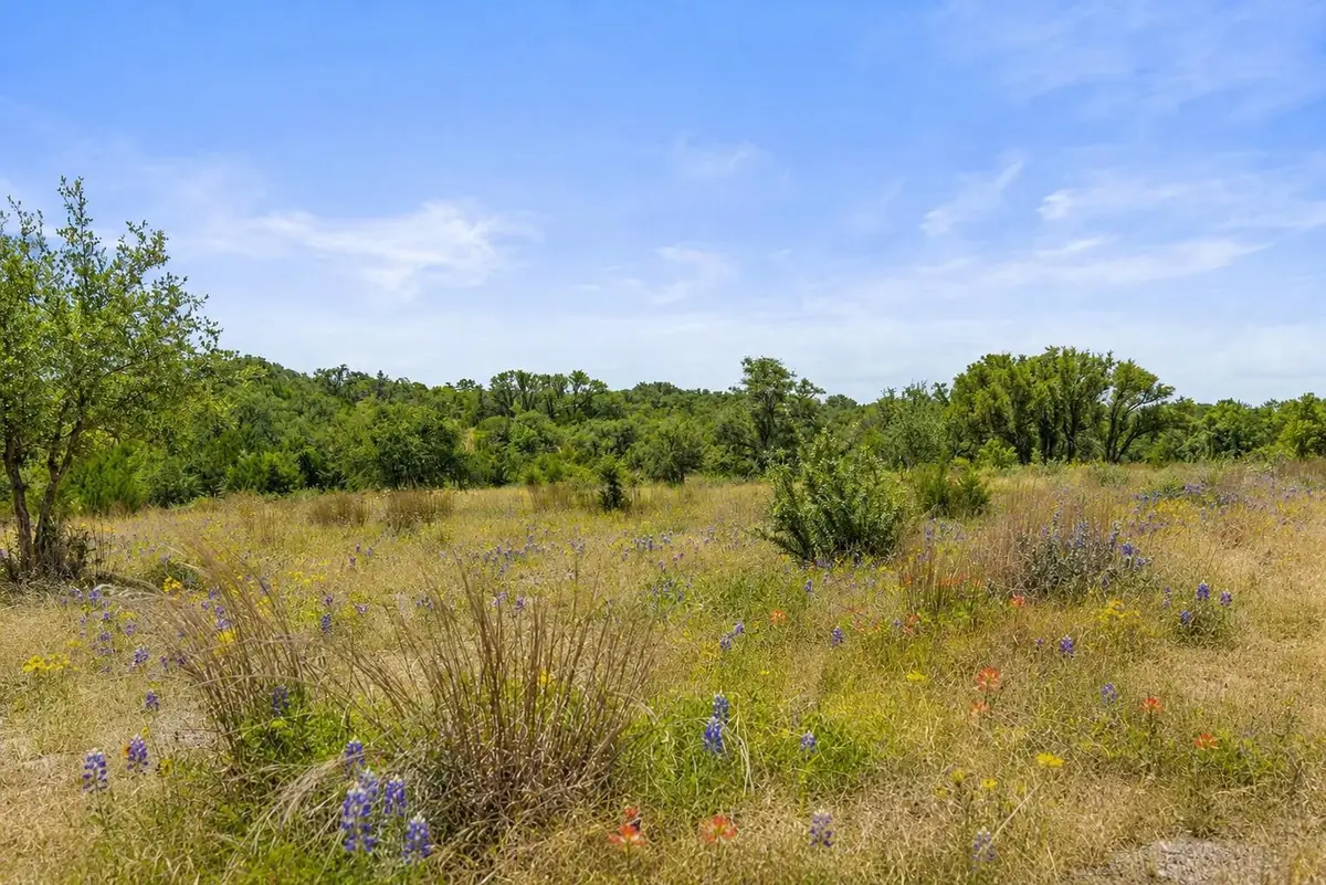 207 Verbena Road, Johnson City, TX 78636 - #1