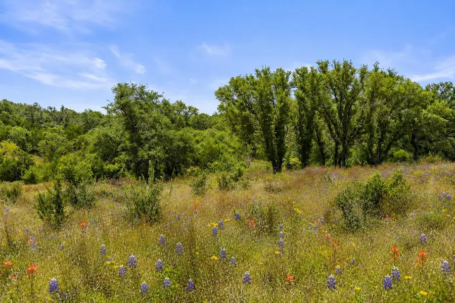 207 Verbena Road, Johnson City, TX 78636 - #3