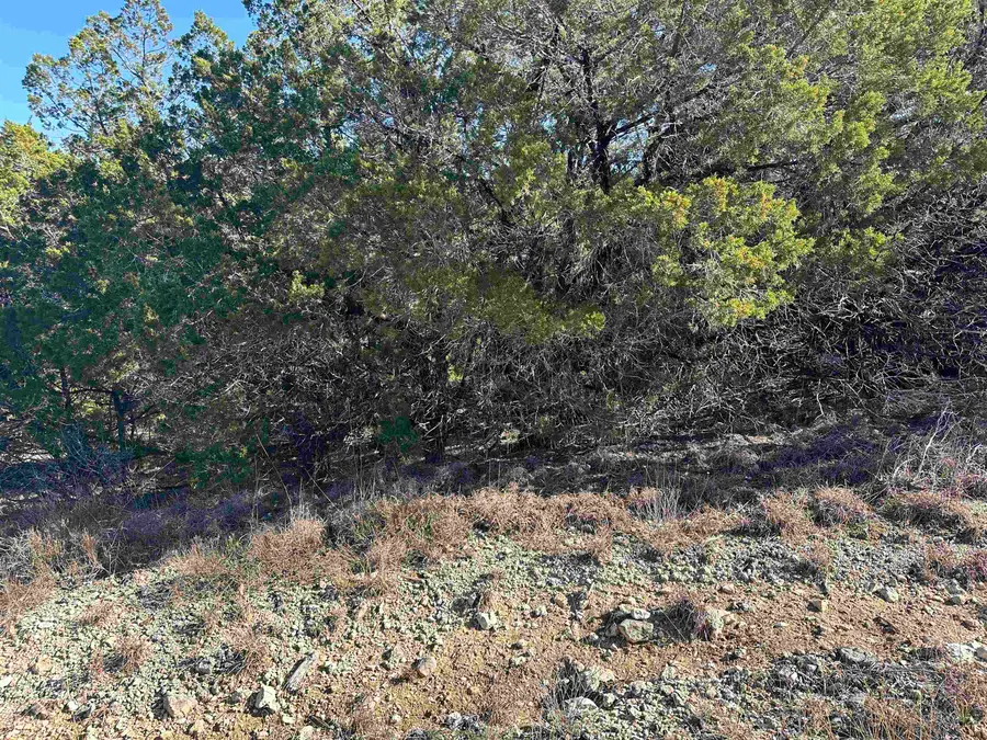2703 Truman Drive, Lago Vista, TX 78645 - #3
