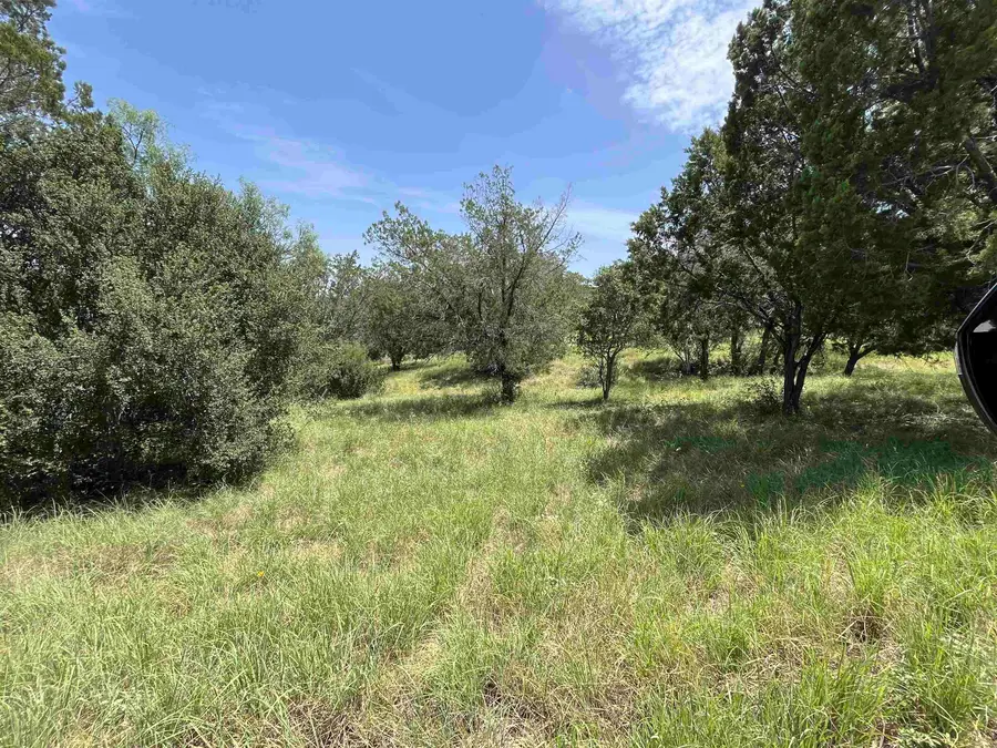 329 Spider Valley, Horseshoe Bay, TX 78657 - #2
