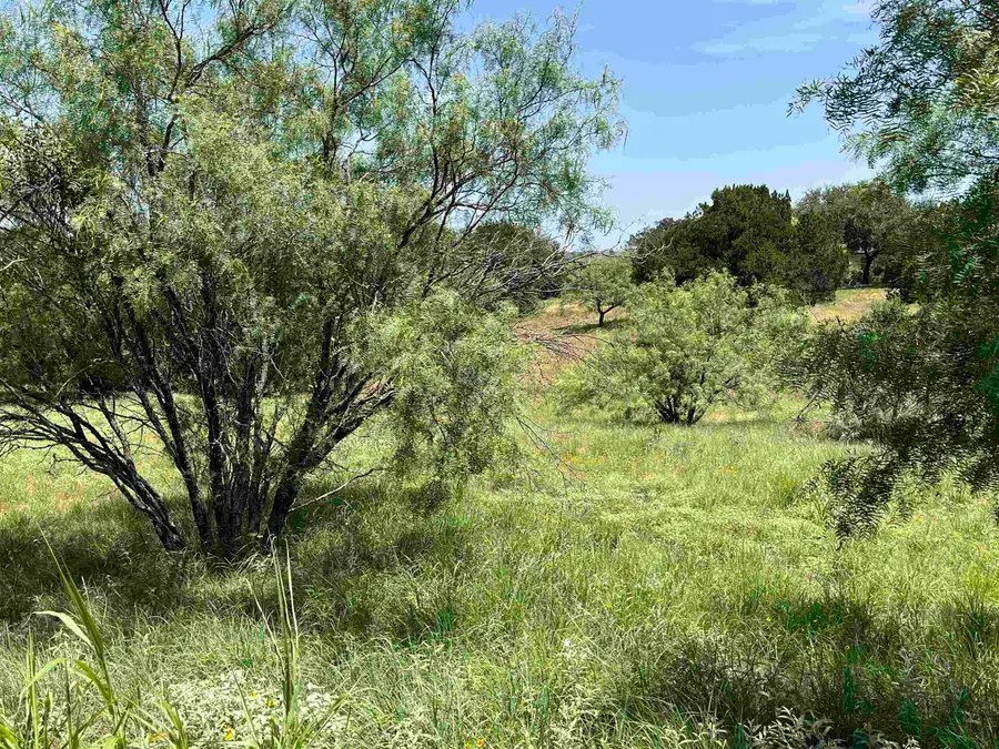 329 Spider Valley, Horseshoe Bay, TX 78657 - #3
