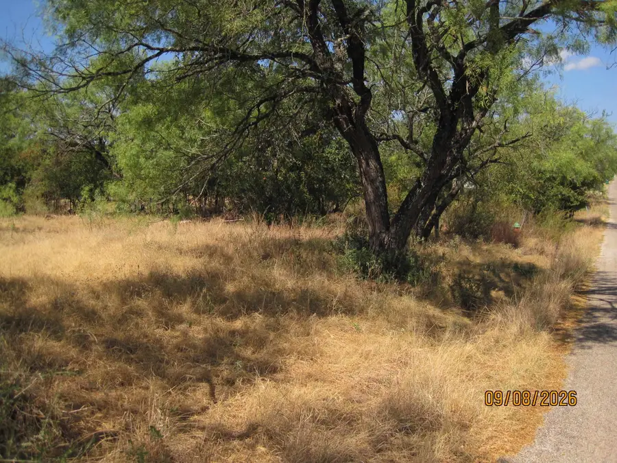 TBD E Castlelake Drive, Granite Shoals, TX 78654 - #2