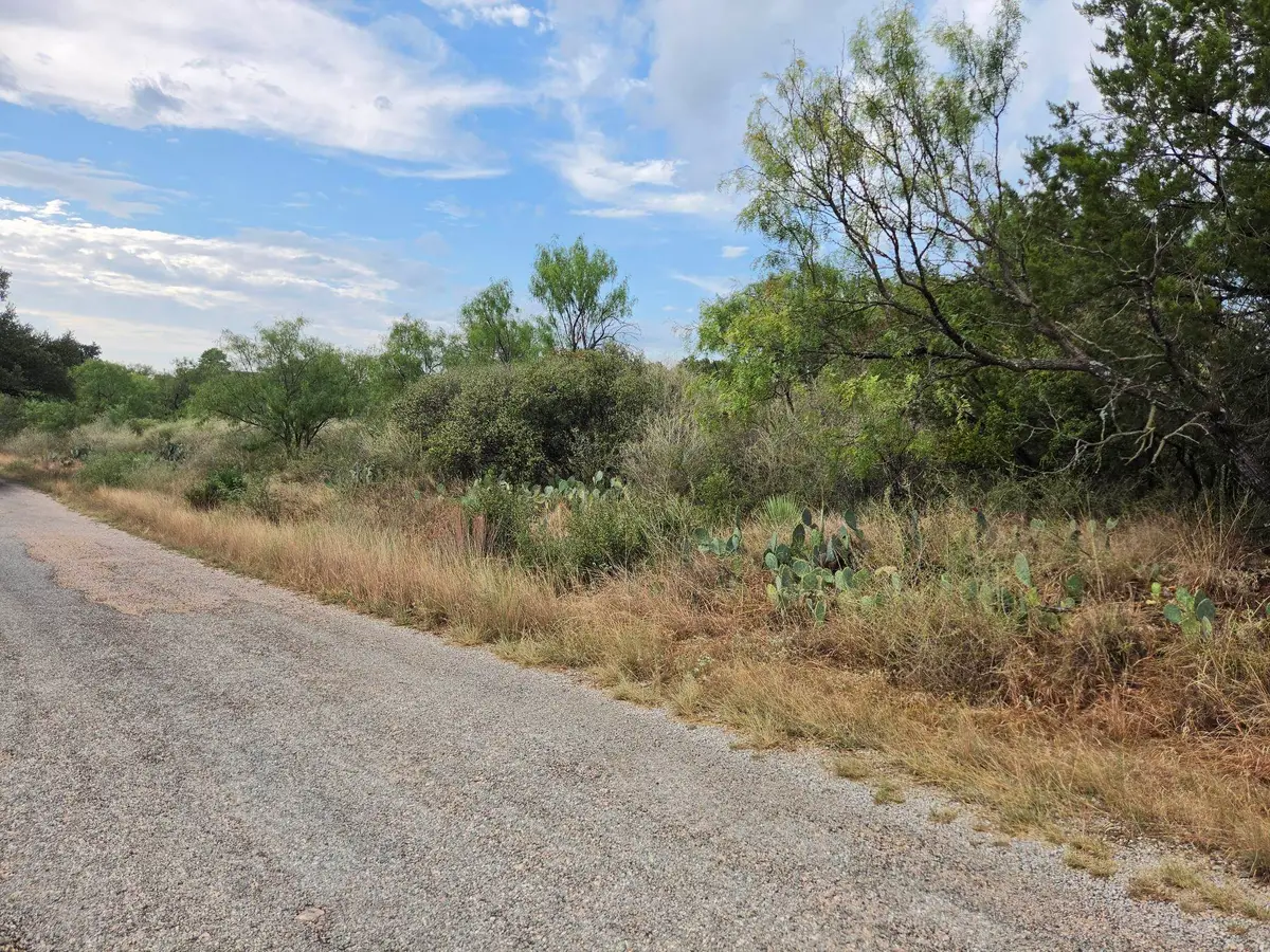 Lots 112, 113 Cedarhill Drive, Granite Shoals, TX 78654 - #1