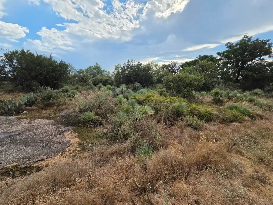 Lots 112, 113 Cedarhill Drive, Granite Shoals, TX 78654 - #3