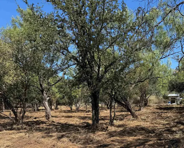 Lots 290 & 291 Maple Drive, Granite Shoals, TX 78654