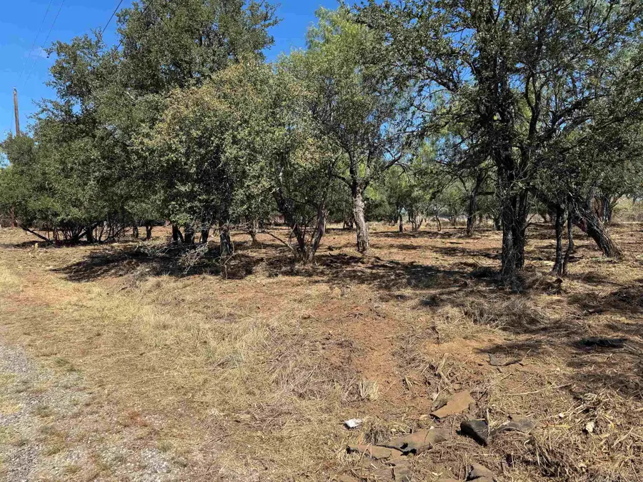 Lots 290 & 291 Maple Drive, Granite Shoals, TX 78654 - #2