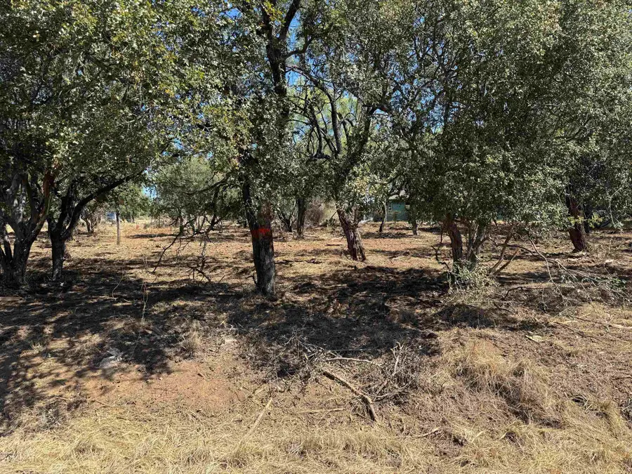 Lots 290 & 291 Maple Drive, Granite Shoals, TX 78654 - #3