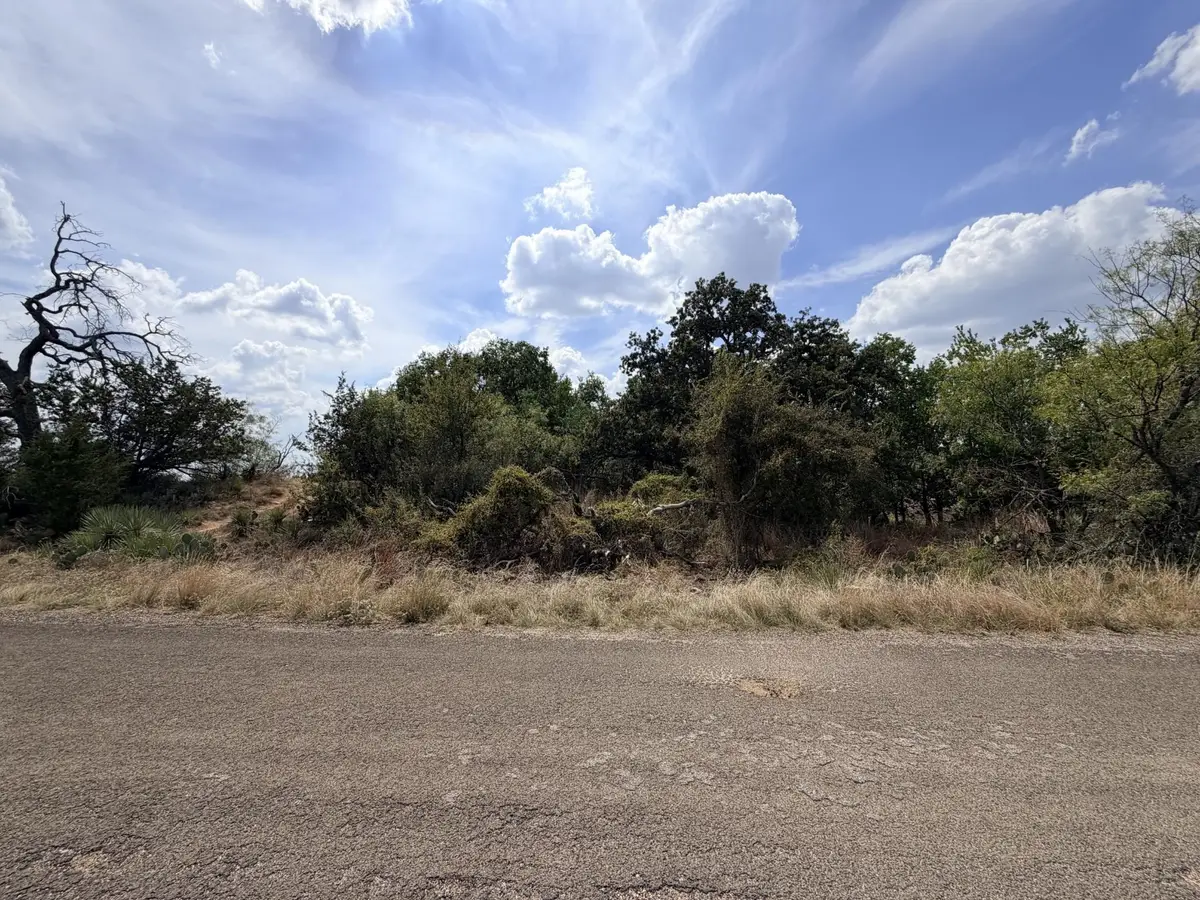 783-786 Hill Drive, Granite Shoals, TX 78654 - #1