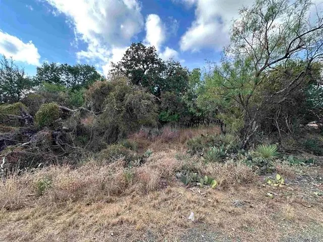 783-786 Hill Drive, Granite Shoals, TX 78654 - #3