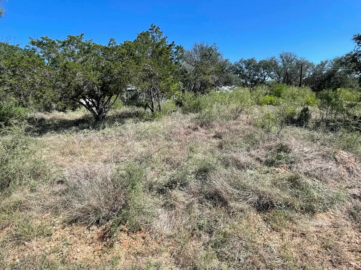 lot 535 Maple Lane, Cottonwood Shores, TX 78657 - #1