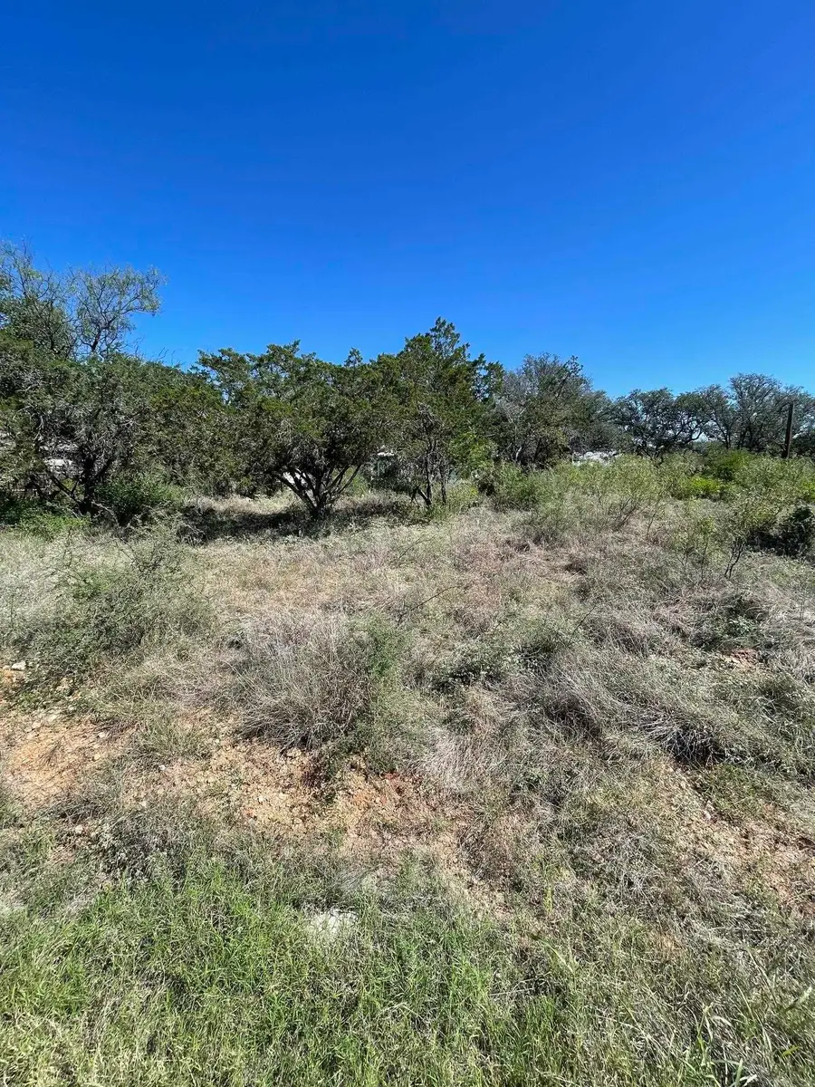 Lot 536 Maple Lane, Cottonwood Shores, TX 78657 - #3
