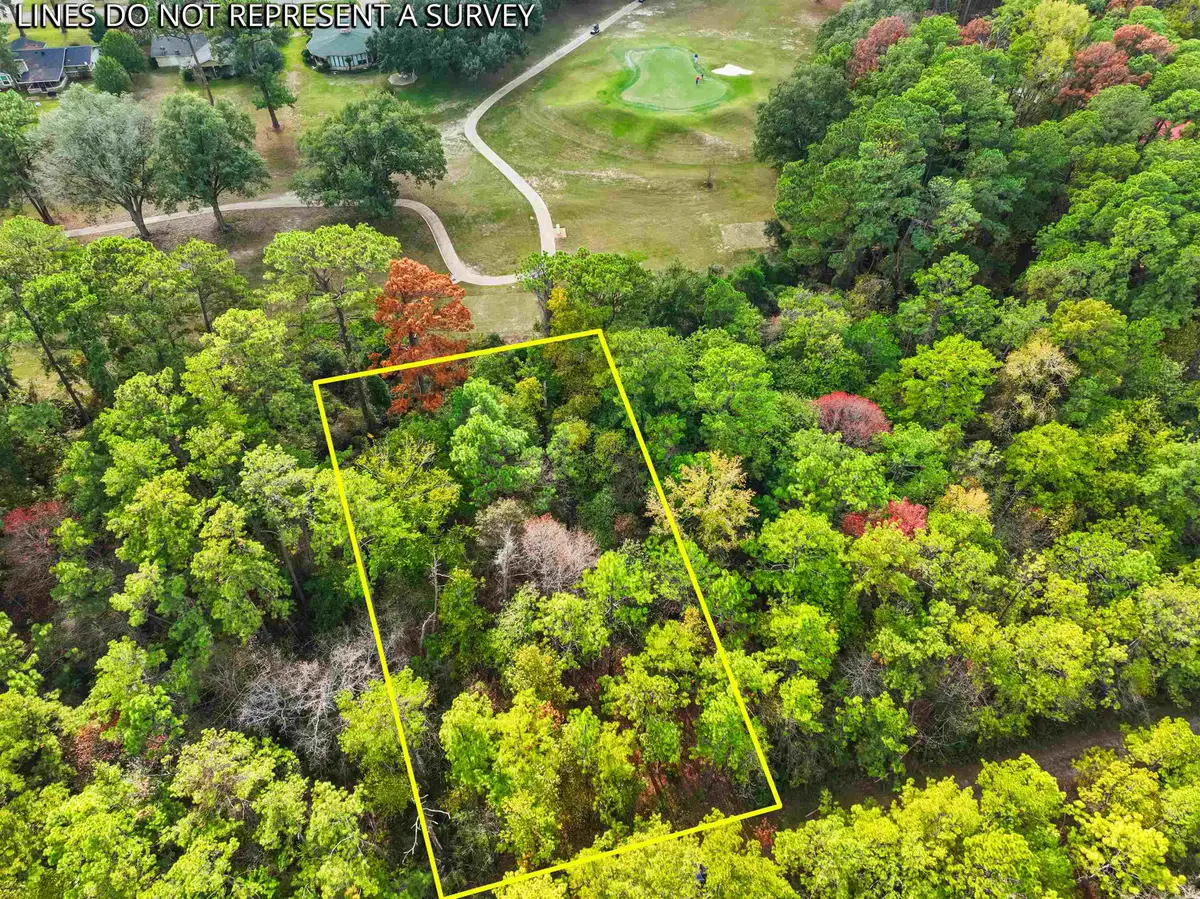 180 Brightberry Ct, Brookeland, TX 75931 - #1