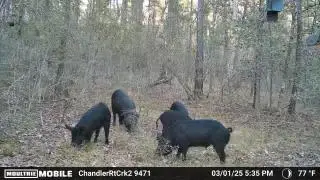 #3