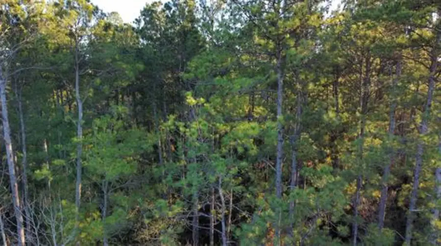 2700 Cr 443, Kirbyville, TX 75956 - Image #3