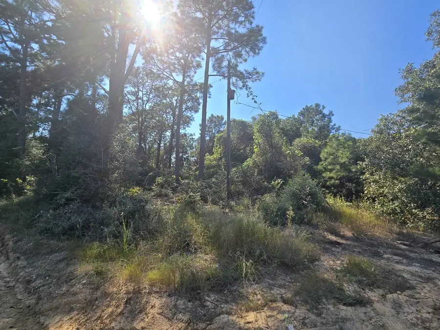 R20785 Cr 3325, Colmesneil, TX 75938 - Image #2