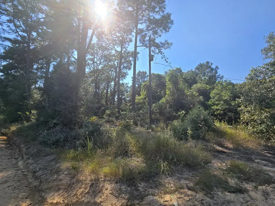 R20785 Cr 3325, Colmesneil, TX 75938 - Image #3