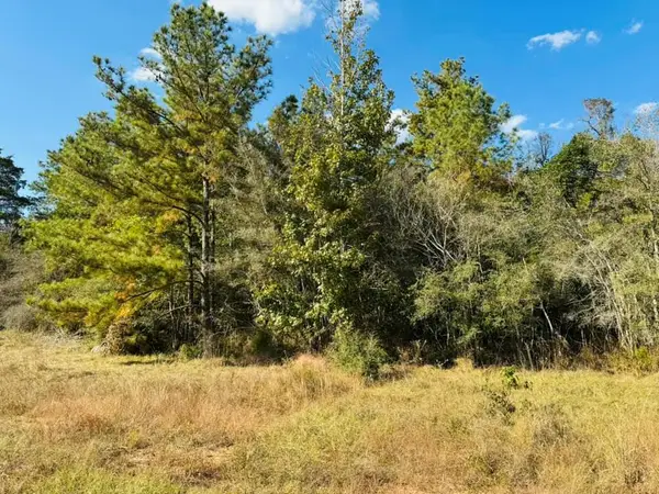 Lot 82 Lakeland Ranch, Hillister, TX 77624