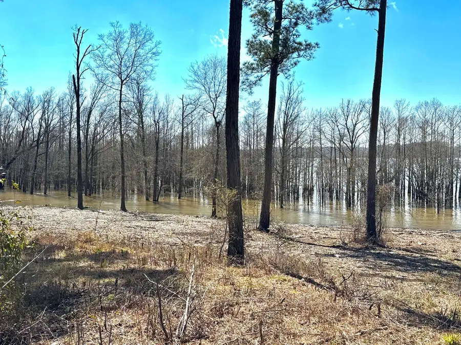 001 Fm 83, Broaddus, TX 75929 - Image #2