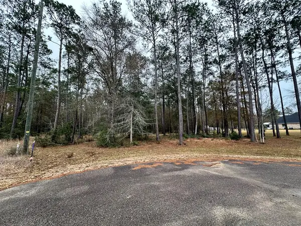 9115 Grizzly Drive, Kountze, TX 77625