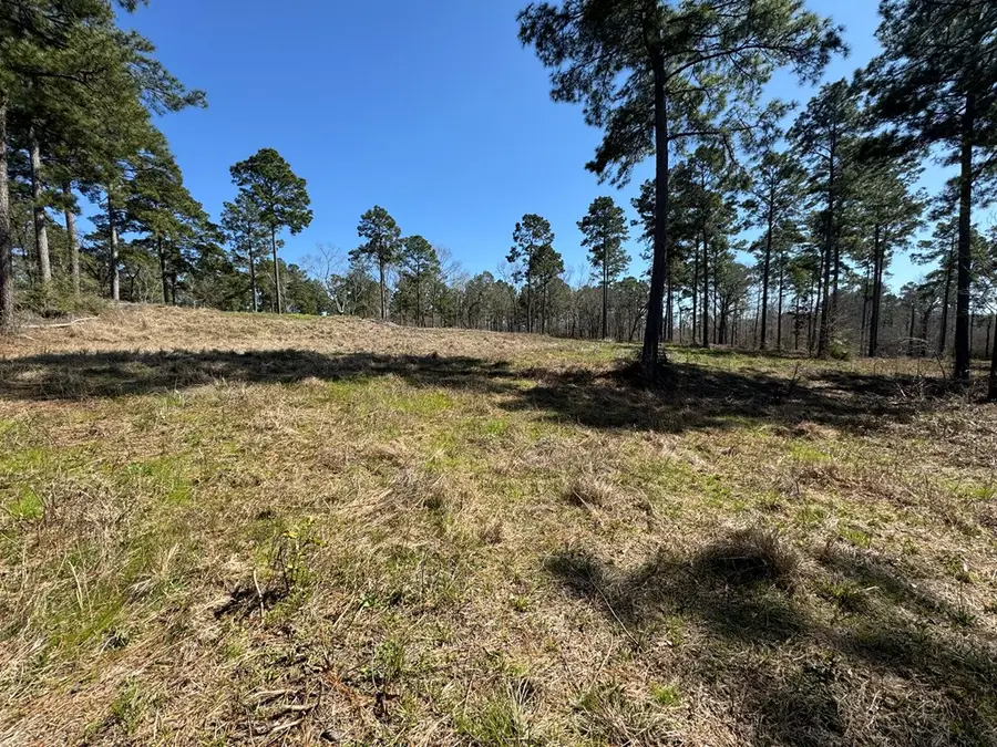 002 Fm 83, Broaddus, TX 75929 - Image #3