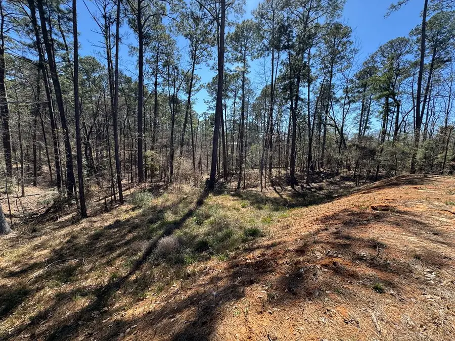 277 Brentwood Drive, Brookeland, TX 75931 - Image #3