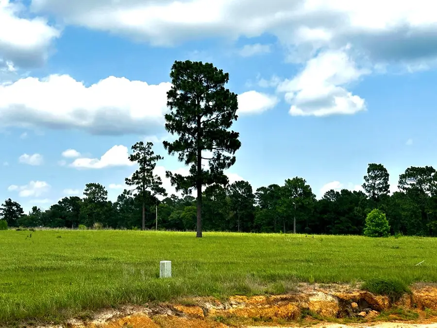 lot 246 Meadowview, Hillister, TX 77624 - #2