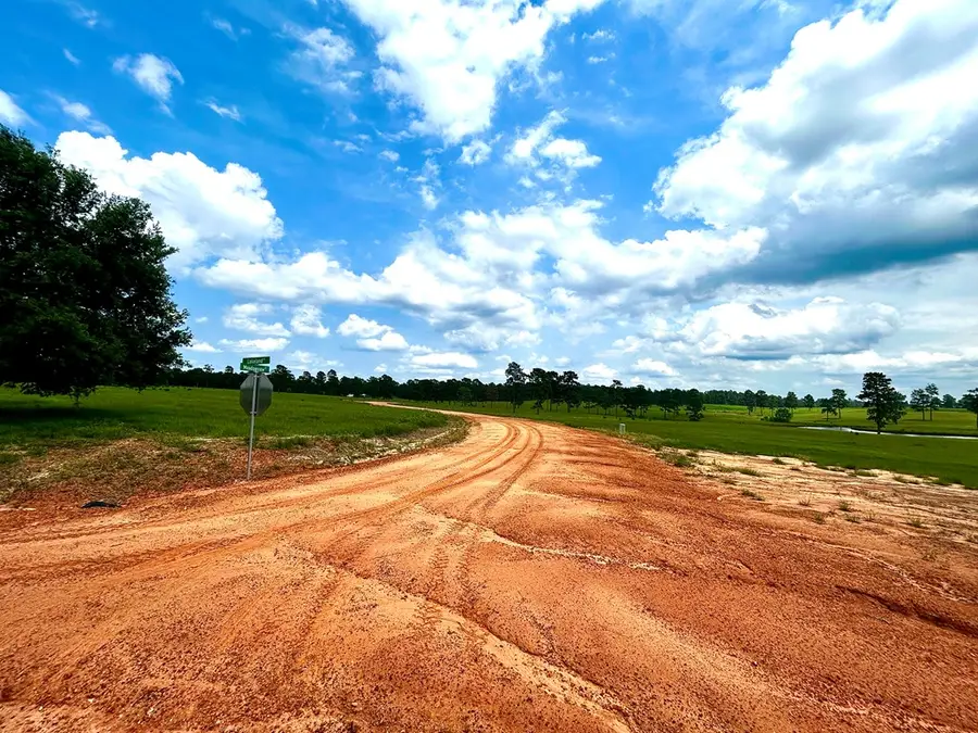 lot 246 Meadowview, Hillister, TX 77624 - #3