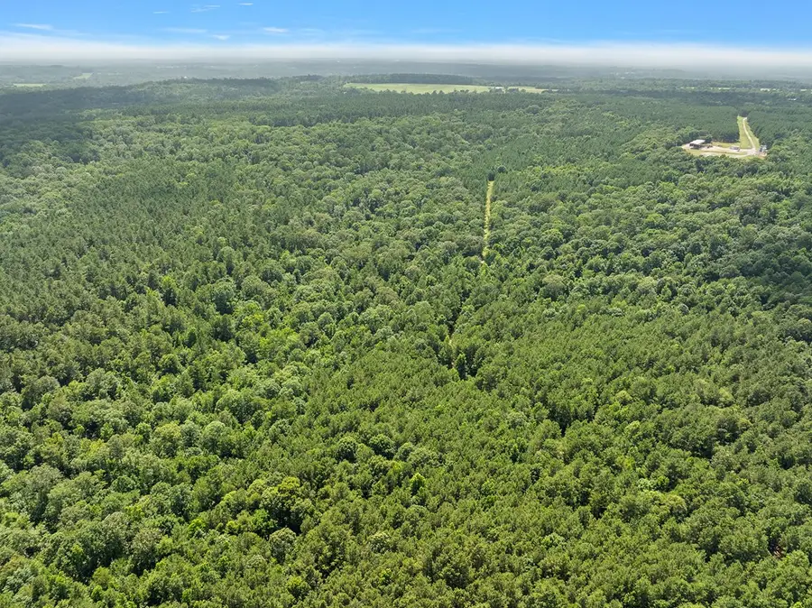 72.3 ACRES Cr 839, Nacogdoches, TX 75964 - #3