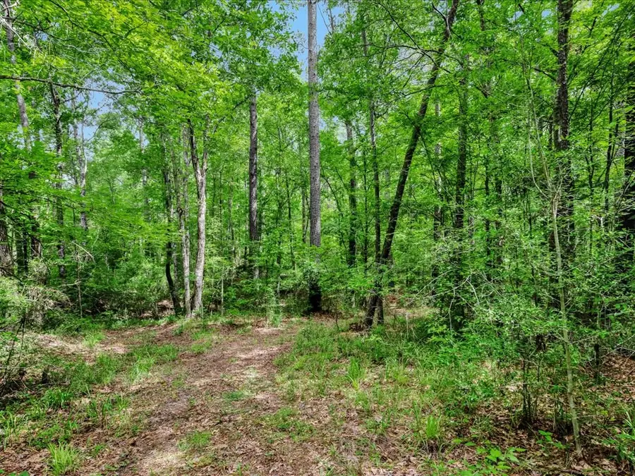 5700 Fm 2497, Lufkin, TX 75904 - #2