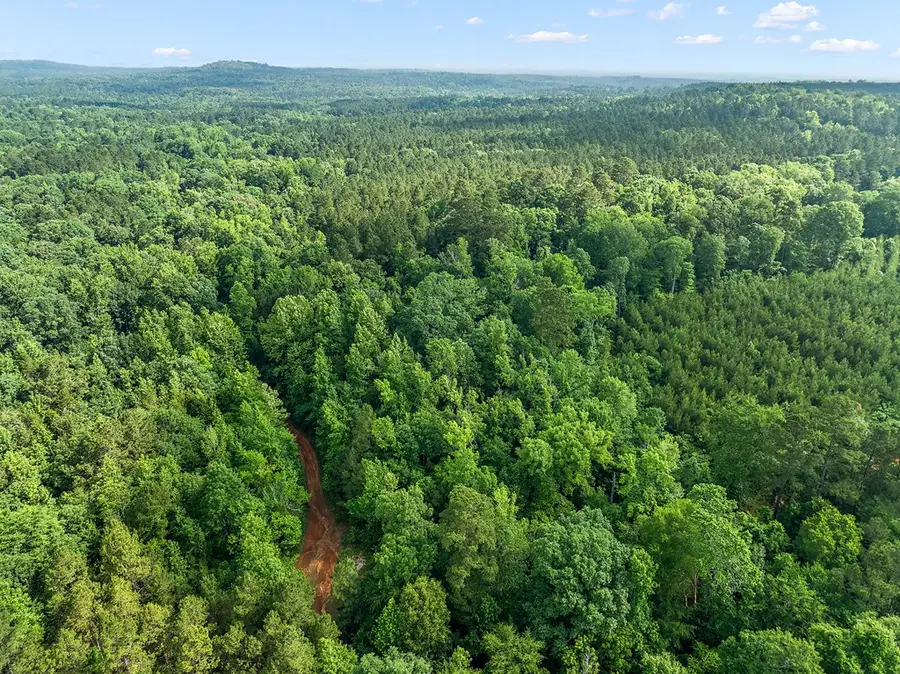 627.07 ac Cr 2509, Alto, TX 75925 - Image #2