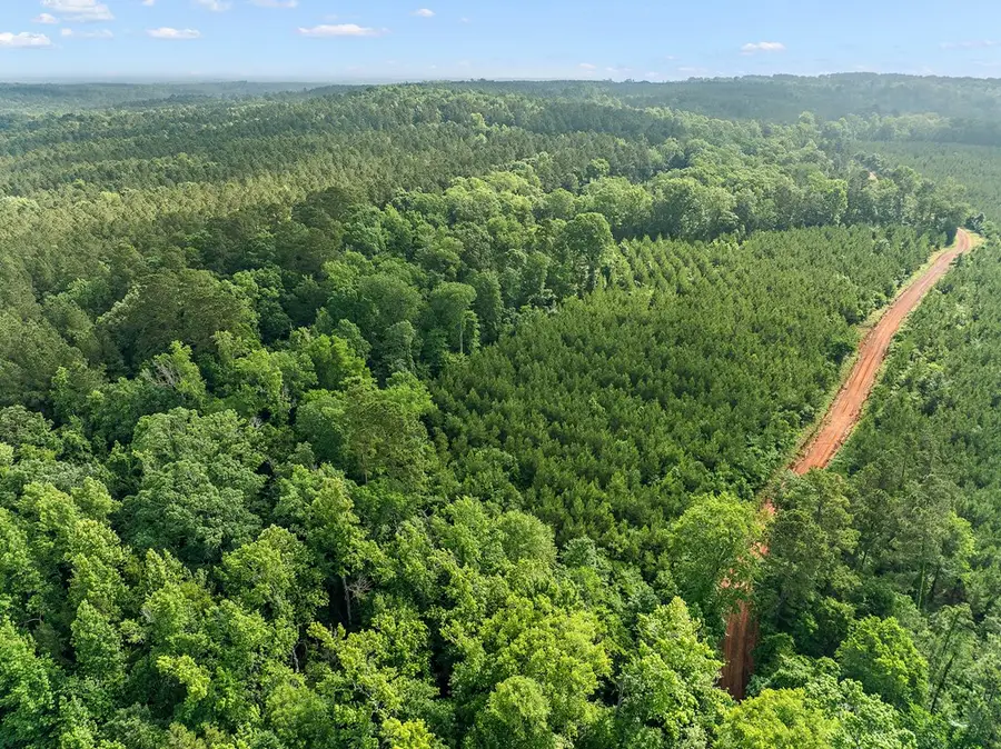 627.07 ac Cr 2509, Alto, TX 75925 - Image #3