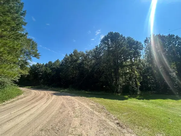 lot 18 Piney Creek Rd, Corrigan, TX 75939