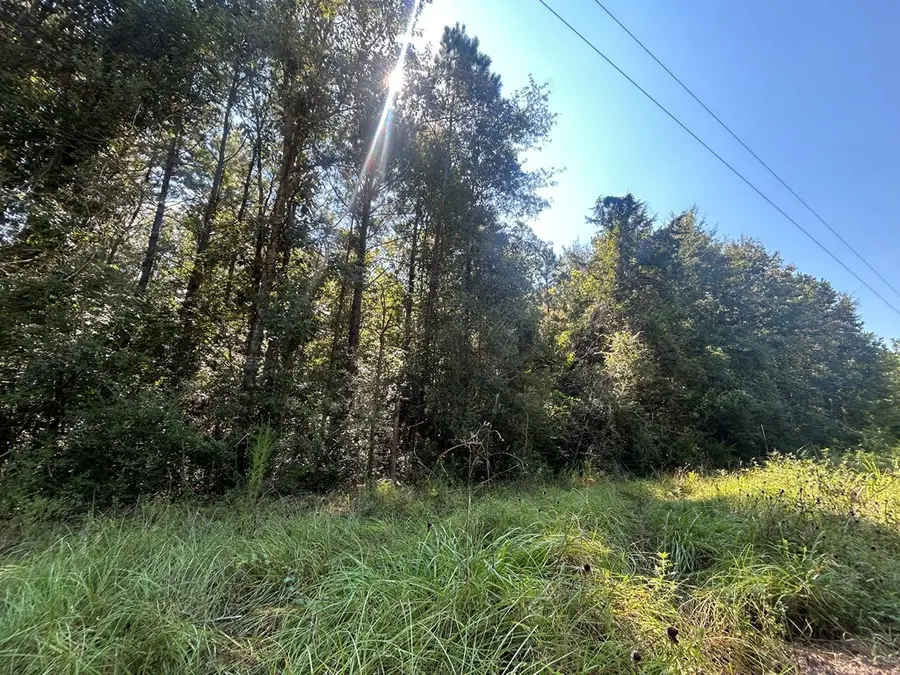 lot 18 Piney Creek Rd, Corrigan, TX 75939 - Image #3