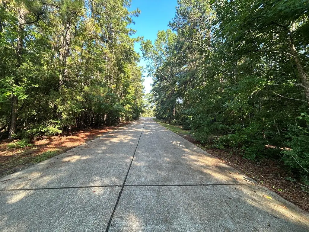 LOT 16 Forse St, Woodville, TX 75979 - Image #1