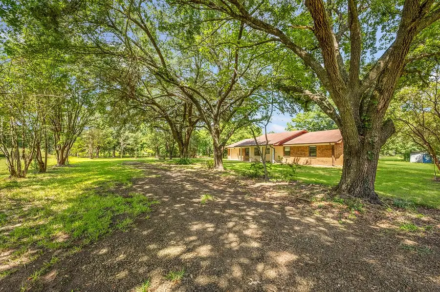 2410 Hwy 96 N, Pineland, TX 75968 - Image #2