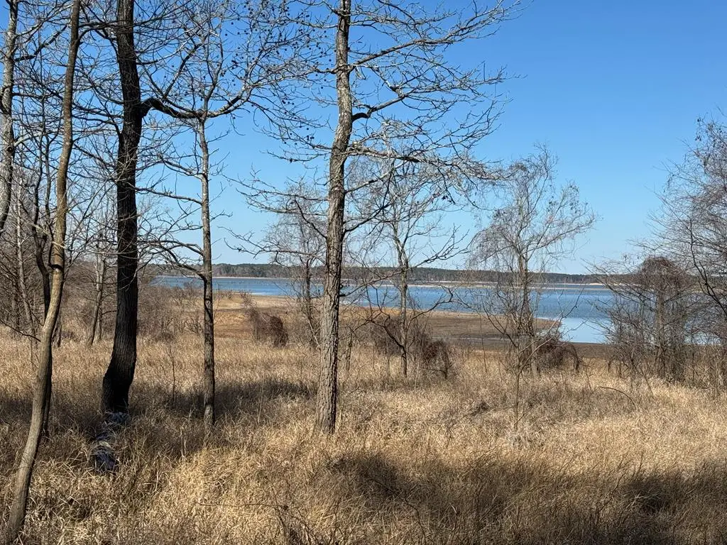 021 Pr 6028, Brookeland, TX 75931 - #1