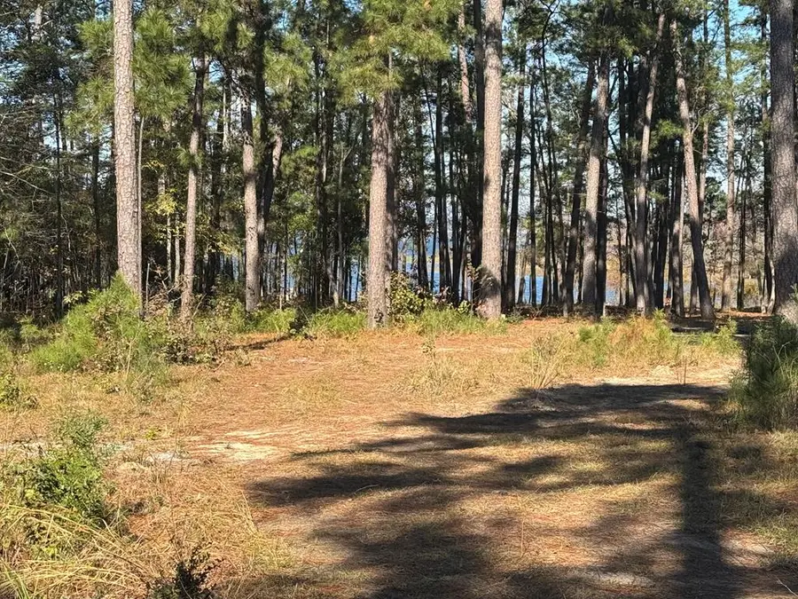 021 Pr 6028, Brookeland, TX 75931 - #3