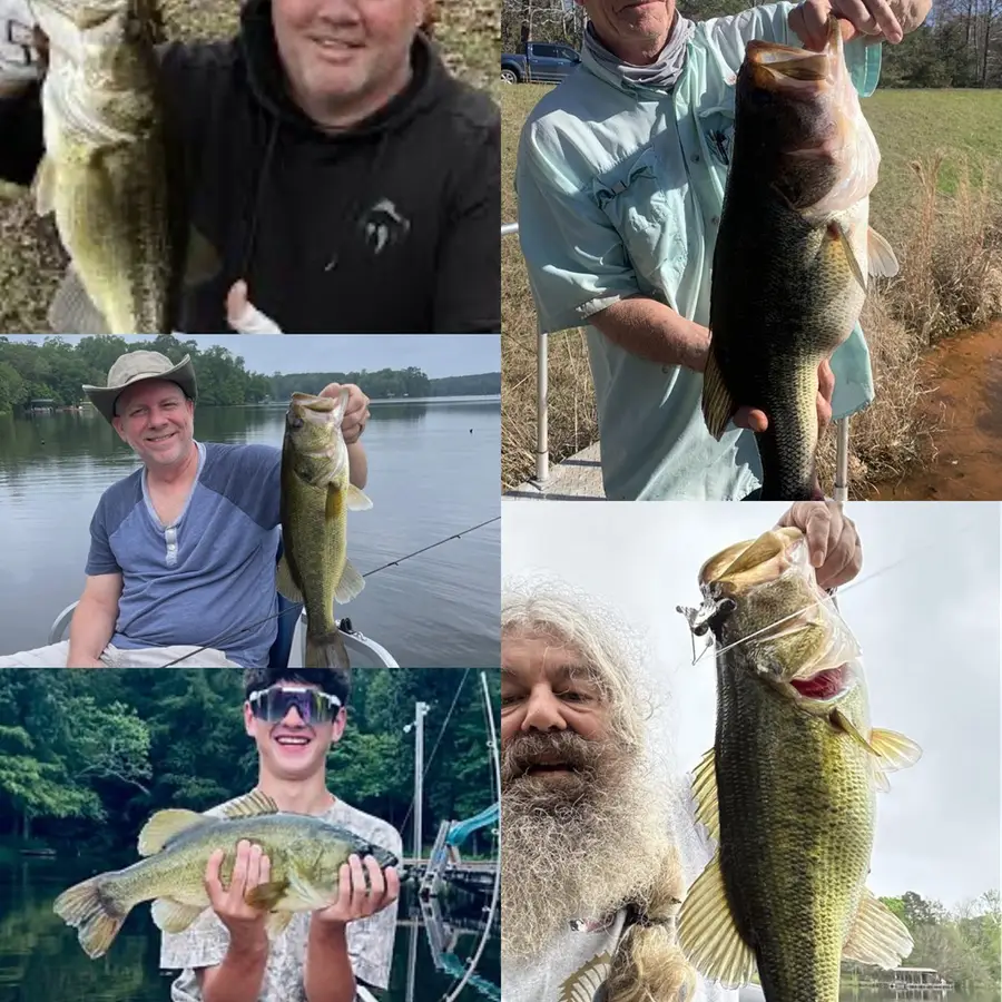 #3