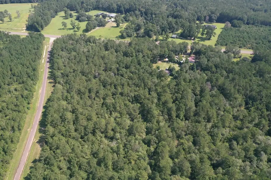 12342 87 S, Kirbyville, TX 75956 - Image #3