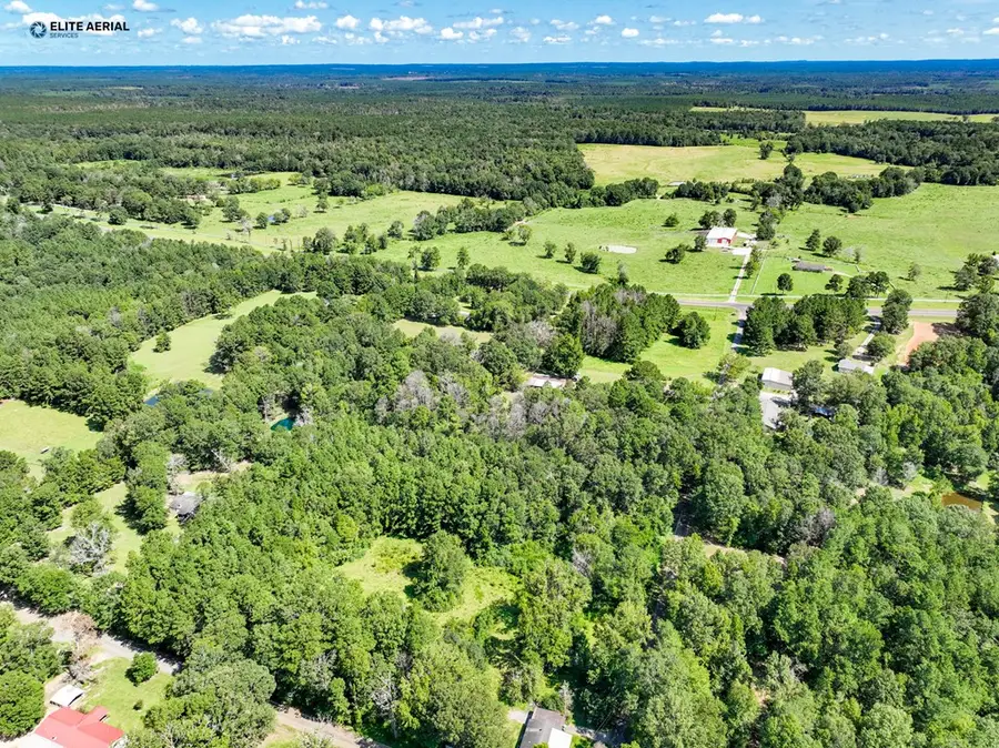 354 County Road 292, Jasper, TX 75951 - Image #3