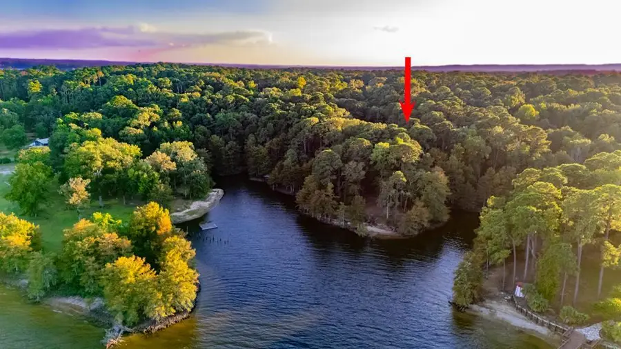 477 Lake Shore Drive, Hemphill, TX 75948 - #3