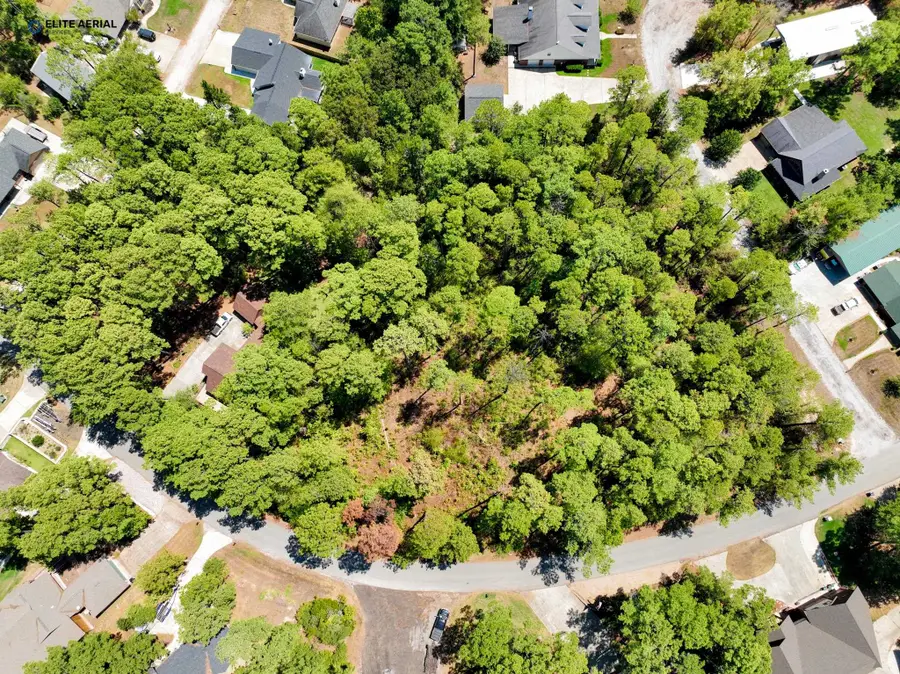 42 Beachrock Dr, Brookeland, TX 75931 - #3