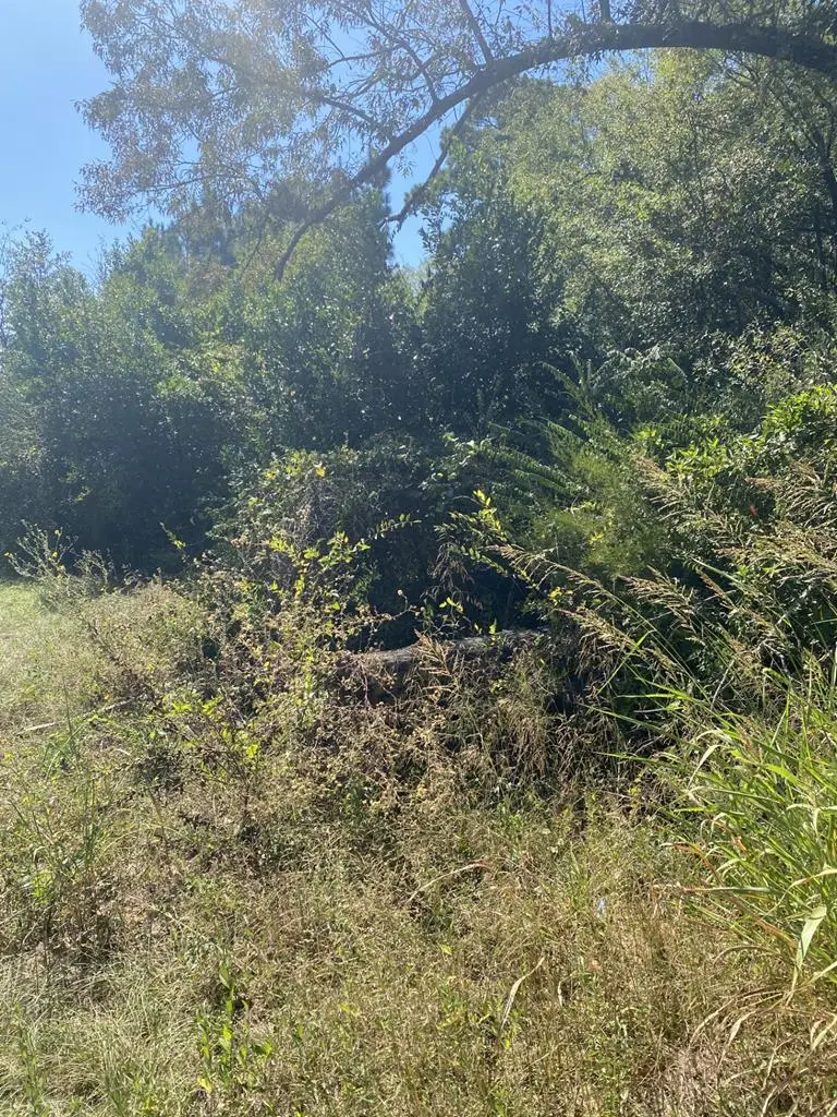 TBD South Fredonia Street, Nacogdoches, TX 75964 - Image #1