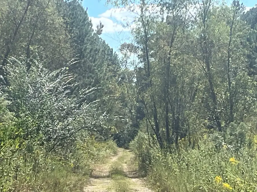 1301 South First Street, Diboll, TX 75941 - Image #3